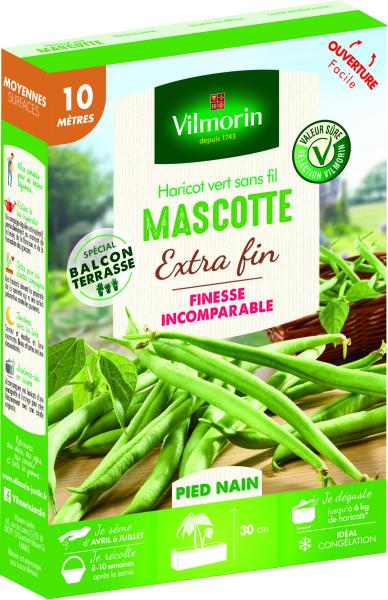 Légumes Secs - Haricot Nain Vert Mascotte - 10 m - face recto